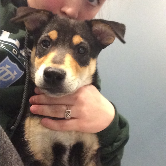 Meet your Posher, Haley - Picture 1 of 1